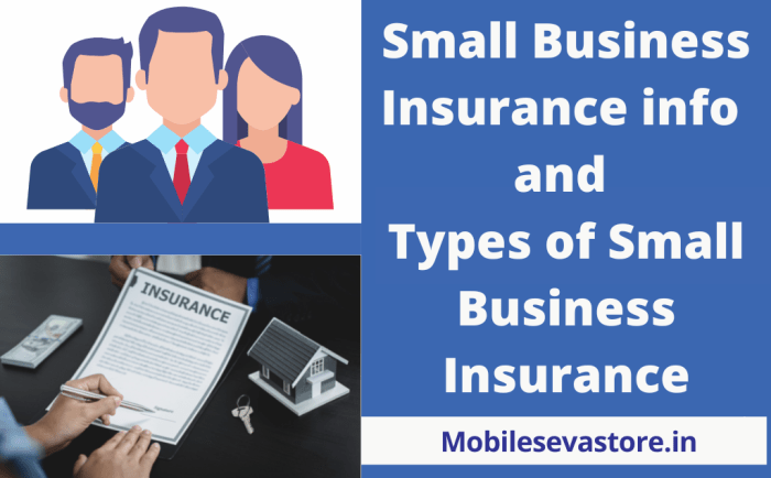 Insurance options for small business owners