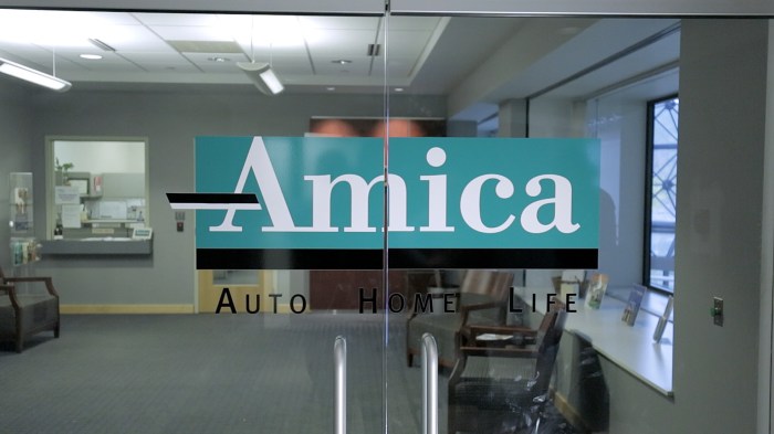 Amica whole life insurance reviews