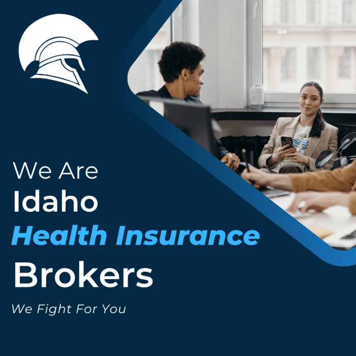 Idaho small business health insurance