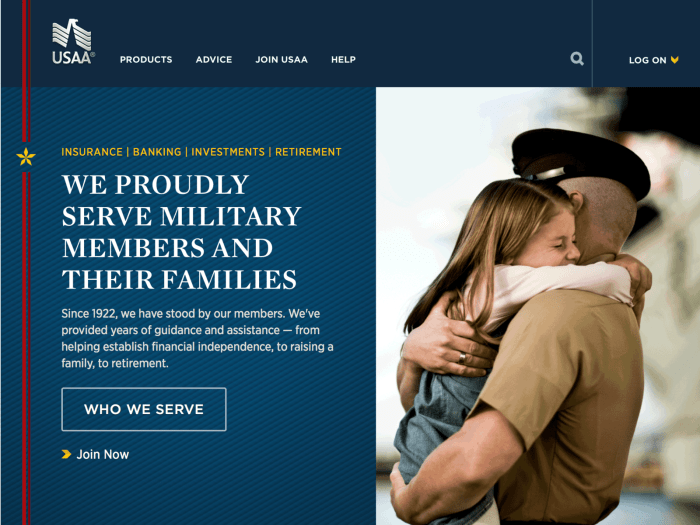 Usaa bundle insurance