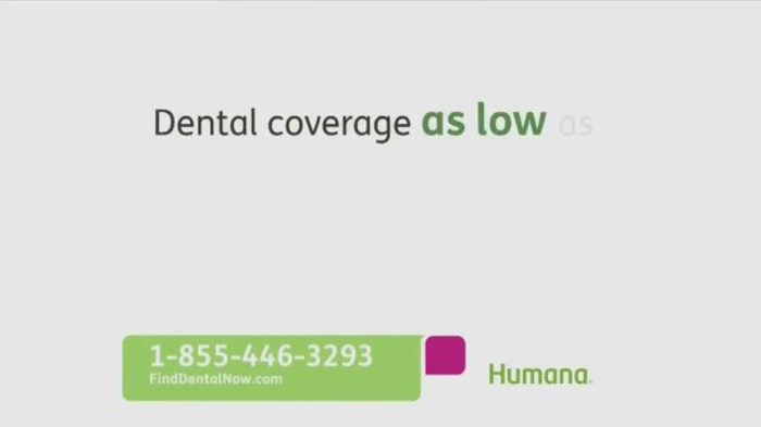 Dental insurance plans humana