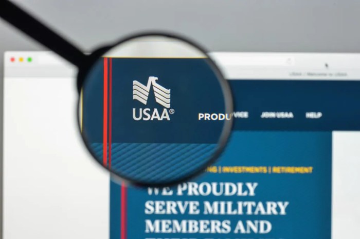 Usaa llc insurance